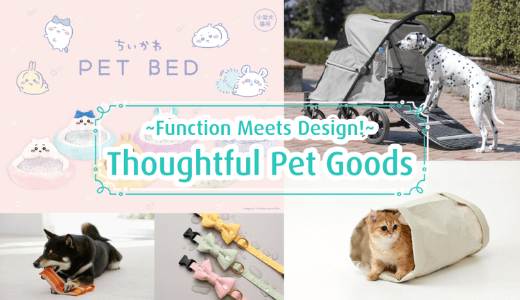 blog cover